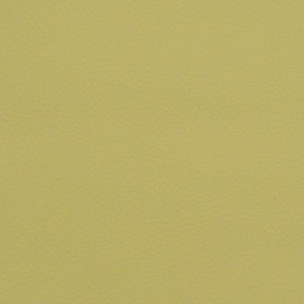 A smooth, solid olive green surface with no distinct features.