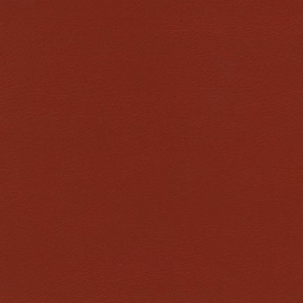 Solid rust-colored background with no distinct features.
