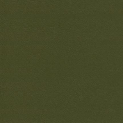 Olive green solid color background.