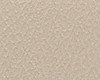 Close-up texture of beige carpet fibers.