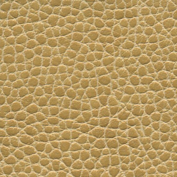 Close-up of textured beige leather material.