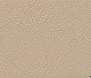 Close-up of textured beige leather surface.