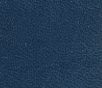 Close-up of blue textured leather surface.