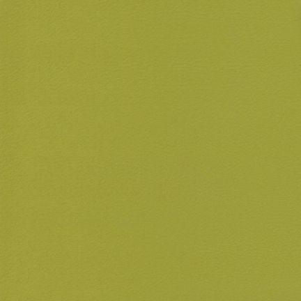 Solid olive green color background.