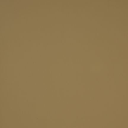 A plain brown textured surface.
