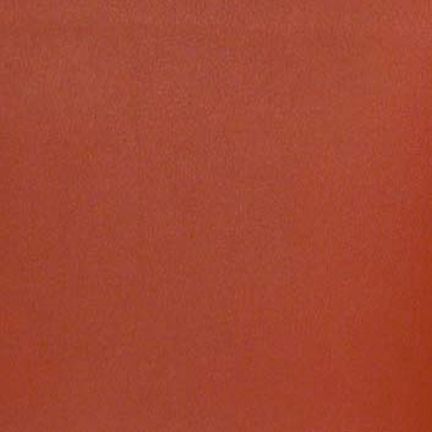 Solid burnt orange color background.