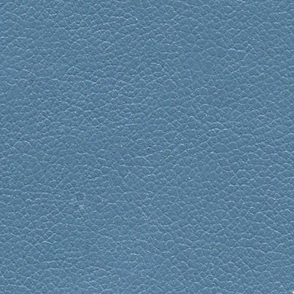 Textured blue leather surface with subtle grain patterns.