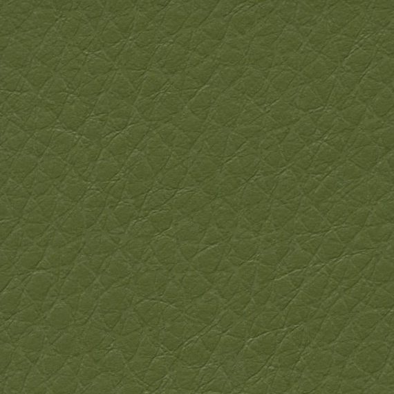 Close-up of textured olive green leather surface.