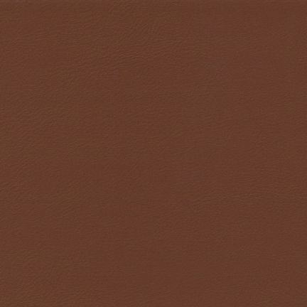 Solid brown color background.