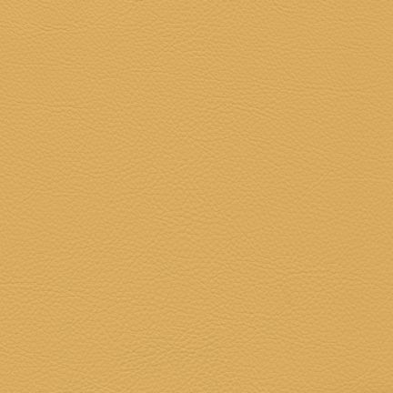 Solid mustard yellow color background.