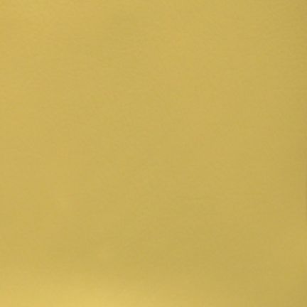 Solid mustard yellow background with smooth texture.