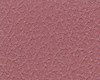 Close-up of a textured pink surface with fine grainy details.