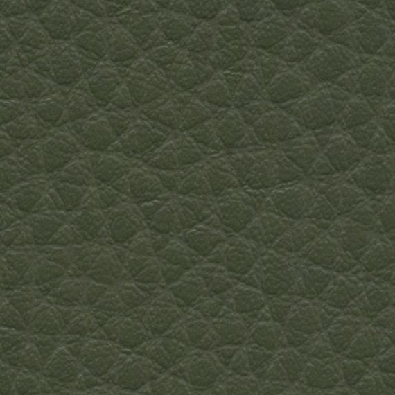 Close-up of textured dark green leather surface.