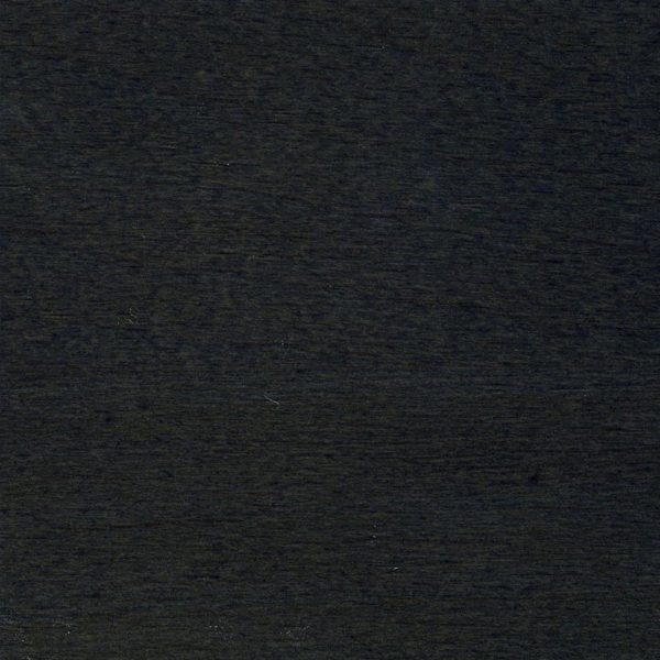 Dark textured surface with subtle grain details.