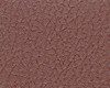 Close-up of a textured brown surface with intricate patterns.