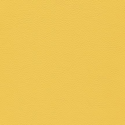 Solid yellow textured background.