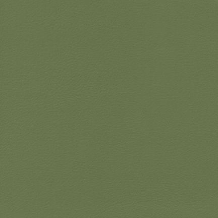 Solid olive green color background.