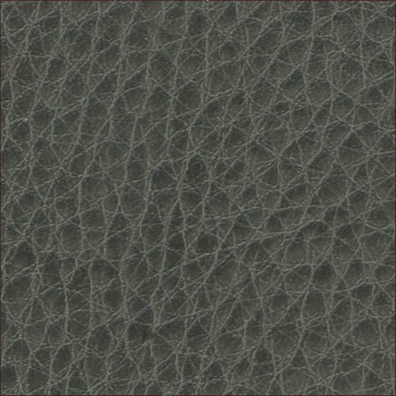 Close-up of textured dark gray leather surface.