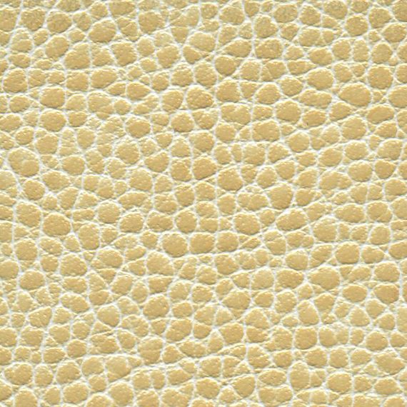 Close-up of textured beige surface resembling reptile skin.