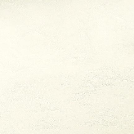 Plain white textured paper background.