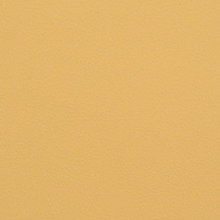 Solid mustard yellow background with no distinct features.
