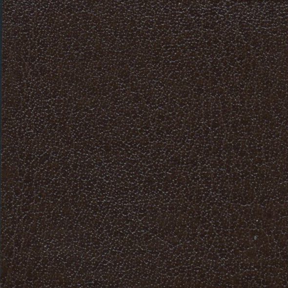 Close-up of a textured dark brown surface.