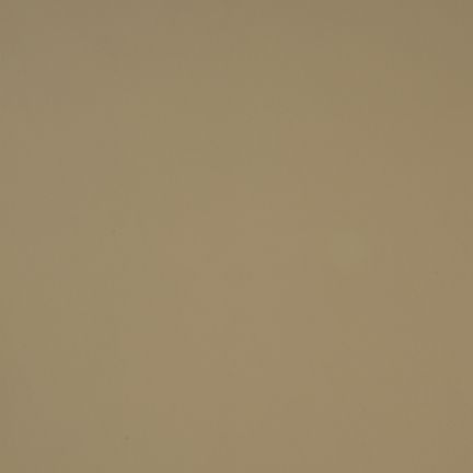 Solid beige background with no distinct features.