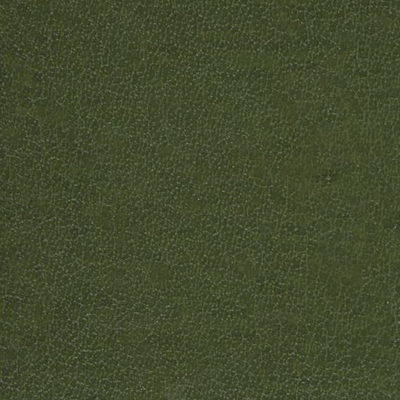 Close-up of green textured fabric.