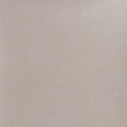 Solid light beige or taupe colored background.