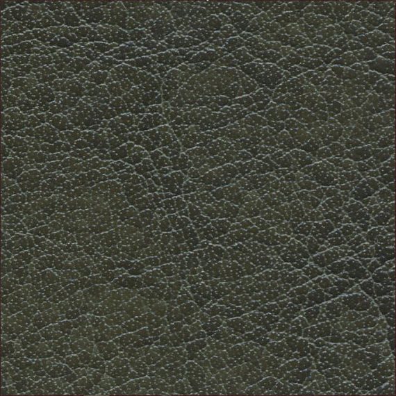 Close-up of textured dark leather material.