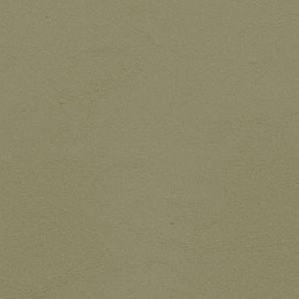 Solid muted olive green texture background.