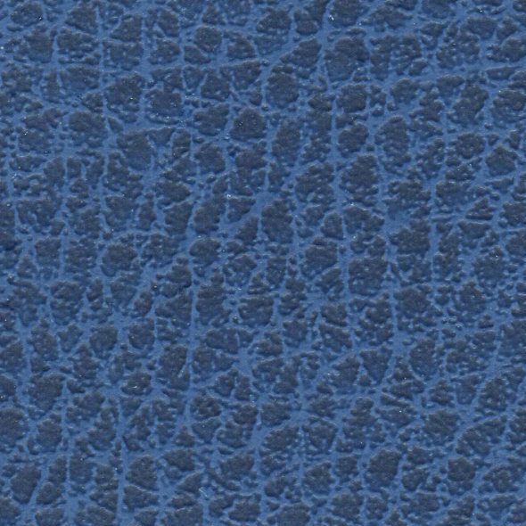Blue textured leather surface with intricate grain patterns.