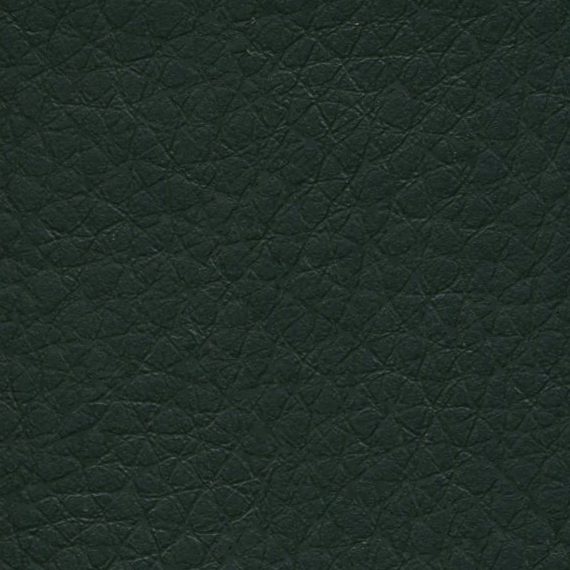 Close-up of dark green textured leather surface.