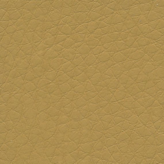Close-up of textured tan leather surface.