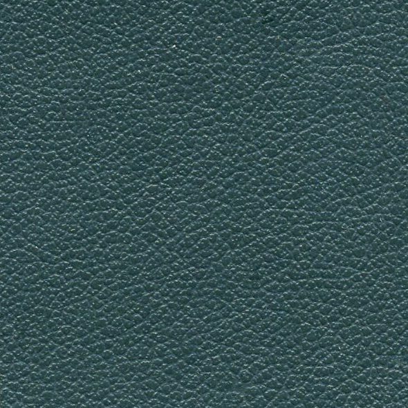 Close-up of dark teal textured leather surface.