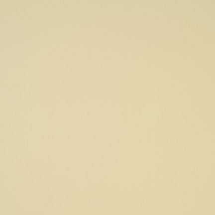 Plain beige background with a smooth texture.