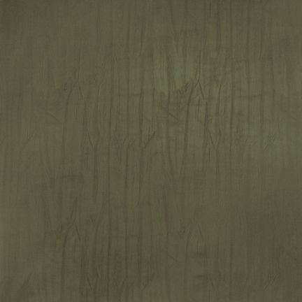 Close-up of a textured brown surface.