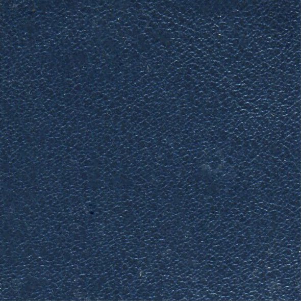 Close-up of dark blue textured leather surface.