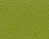 Close-up of green grass with small brown patches.