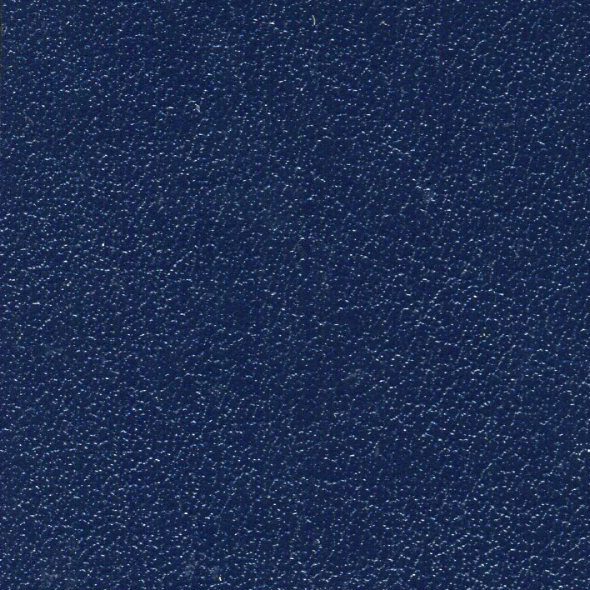Close-up of a dark blue textured surface.