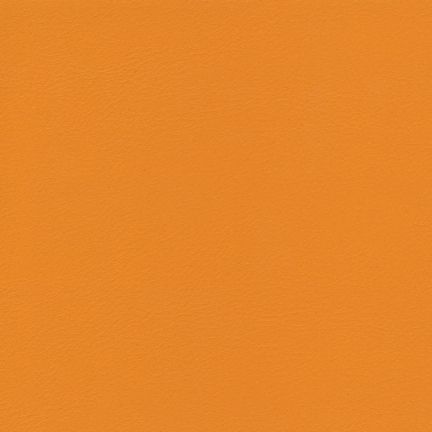 Solid orange background with smooth texture.